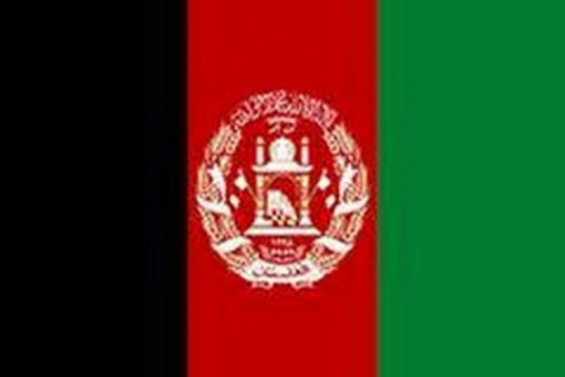 58 Taliban terrorists killed in operations by Afghan forces
