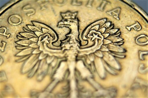 Poland Should Either Join Eurozone Or Issue Own CBDC – Stock Exchange CEO