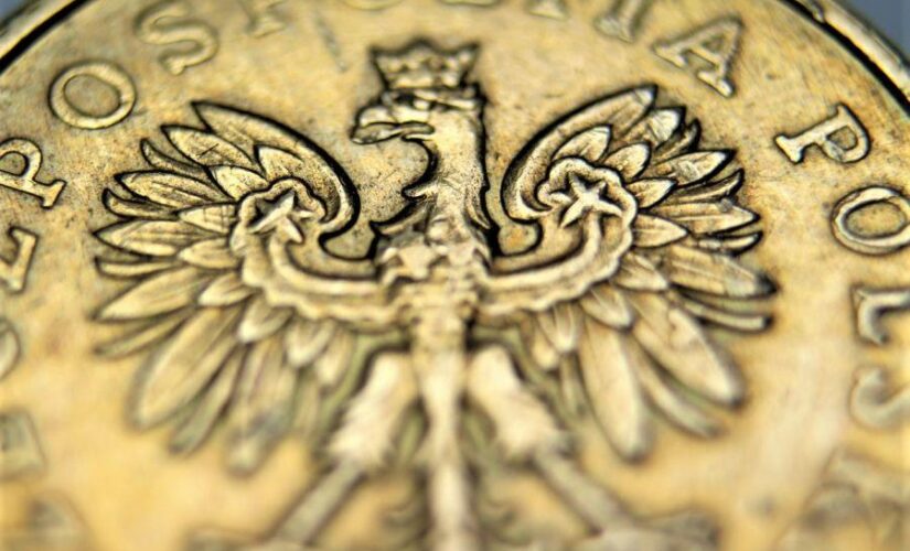 Poland Should Either Join Eurozone Or Issue Own CBDC – Stock Exchange CEO